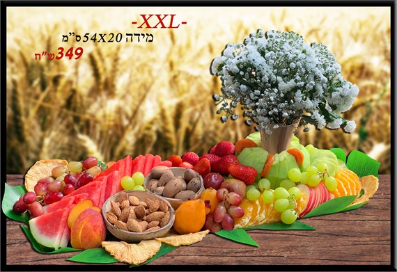 מגש פירות חגיגי XXL